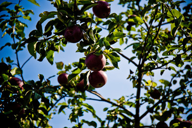 Similar image 21817415