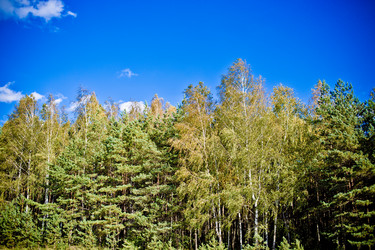 Similar image 21817416