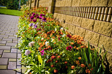 Similar image 21816511