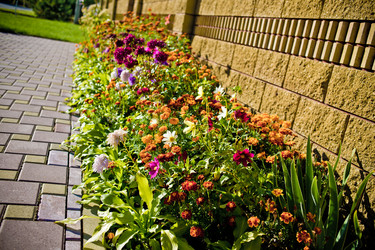 Similar image 21816512