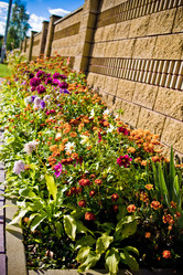 Similar image 21816513