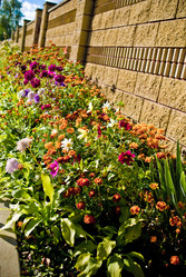 Similar image 21816514