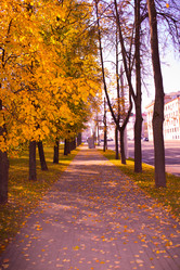 Similar image 21816515