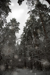 Similar image 21824784