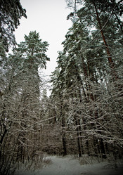 Similar image 21824785