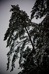 Similar image 21824786