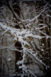 Similar image 21824788