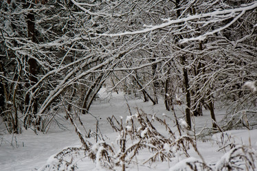 Similar image 21824790