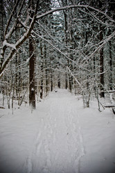 Similar image 21824791