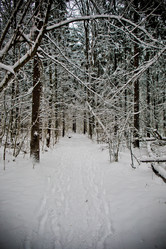 Similar image 21824792