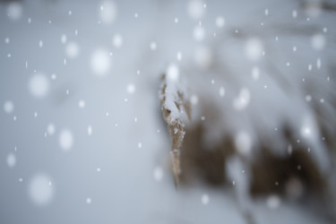 Similar image 21824794