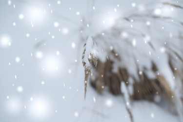 Similar image 21824795