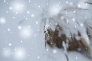 Similar image 21824796