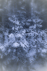 Similar image 21824798