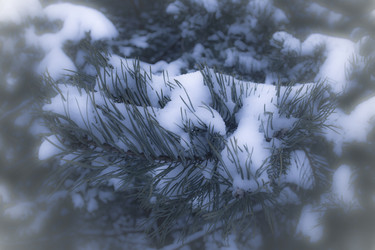 Similar image 21824799