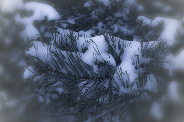 Similar image 21824800