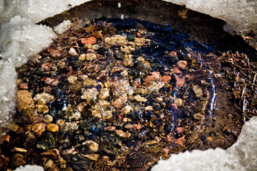 Similar image 21817418