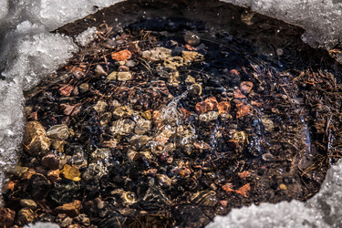 Similar image 21817419