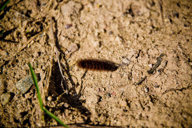 Similar image 21817420