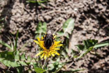 Similar image 21817421