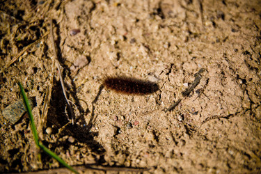 Similar image 21817422