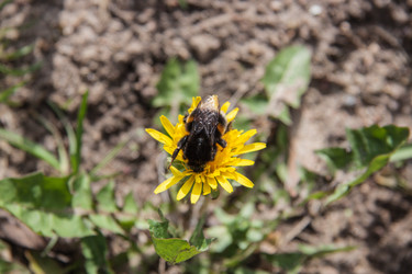 Similar image 21817423