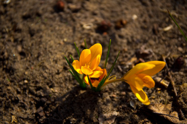 Similar image 21816516