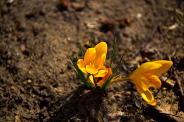 Similar image 21816517