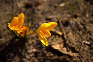 Similar image 21816518