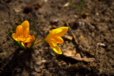 Similar image 21816519