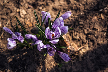 Similar image 21816520