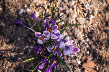 Similar image 21816522