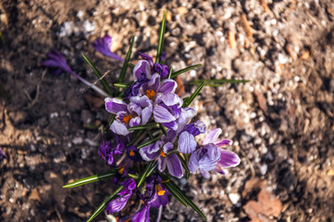 Similar image 21816523