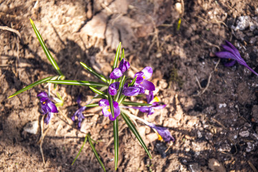 Similar image 21816524