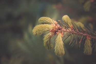 Similar image 21817254