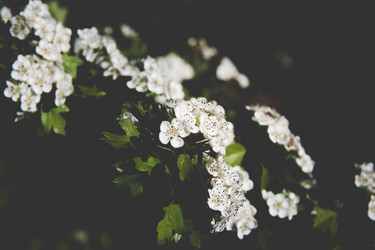 Similar image 21817424