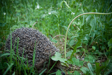 Similar image 21817426