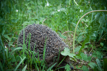 Similar image 21817427