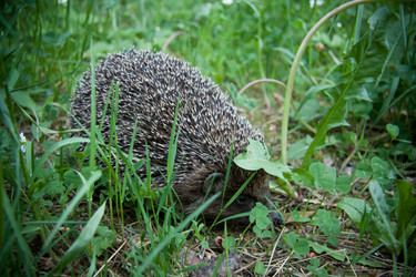 Similar image 21817428