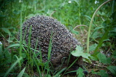 Similar image 21817429