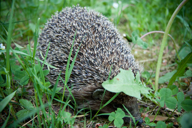 Similar image 21817430