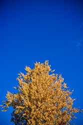 Similar image 21816525