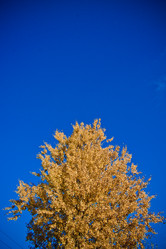 Similar image 21816526