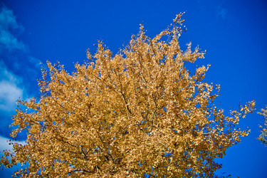 Similar image 21816527