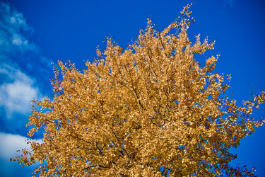 Similar image 21816528