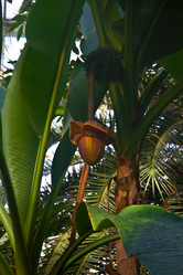 Similar image 21817431