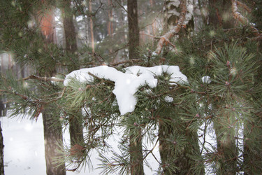 Similar image 21824803