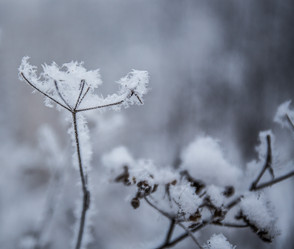 Similar image 21824808