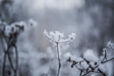 Similar image 21824809