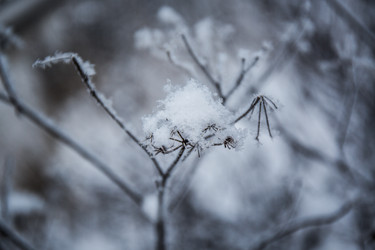 Similar image 21824810